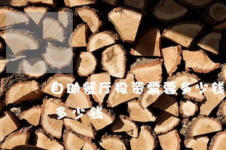 自助餐厅投资需要多少钱(自助餐厅投资需要多少钱)