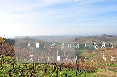 自動(dòng)免息分期12個(gè)月(12個(gè)月免息分期付款)