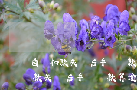 自動扣款失敗后手動還款算逾期嗎-自動扣款失敗后手動還款算逾期嗎怎么辦