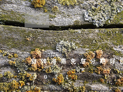 自如海燕免息分期好 自如海燕計(jì)劃2021