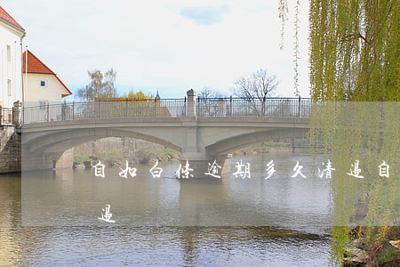 自如白条逾期多久清退(自如白条逾期多久清退)