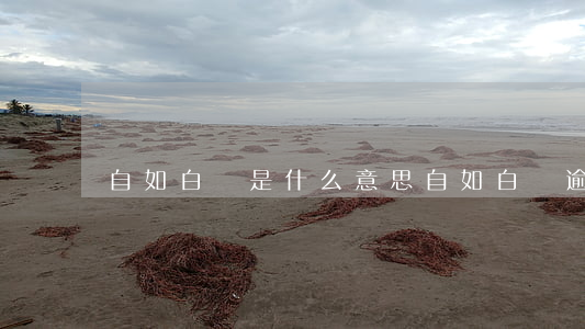 自如白條是什么意思（自如白條逾期會有影響嗎）