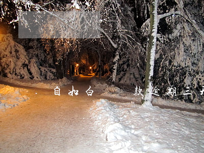 自如白條還款逾期三天(自如白條逾期了怎么辦)