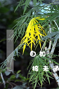 自如貸款逾期會(huì)怎樣(自如貸款審核未通過(guò))