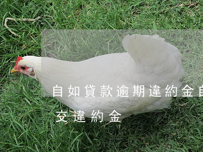 自如貸款逾期違約金(自如分期貸款退租了不交違約金)