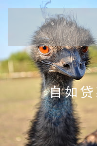 自如贷款逾期第二天(自如分期逾期清退)
