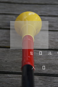 自學法律需要具備什么條件(法律自學者如何入門)