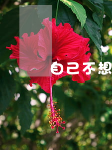 自己不想離婚怎么辦