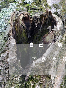 自己不清楚欠多少網貸怎么查(怎么查自己欠了多少網貸)