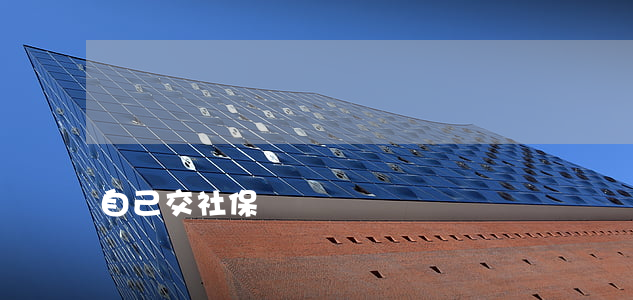 自己交社保