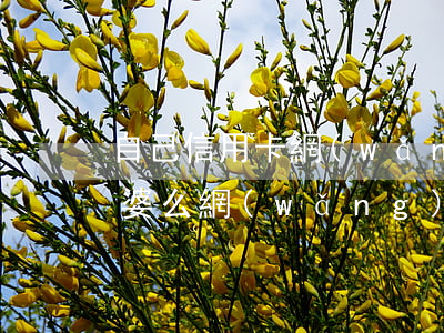 自己信用卡網(wǎng)貸逾期會影響老婆么(網(wǎng)貸逾期影響老公嗎)