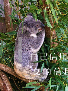 自己信用卡逾期會(huì)影響家人嗎(子女的信用卡逾期會(huì)影響父母么)