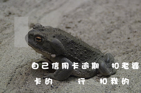 自己信用卡逾期會扣老婆的錢嗎(老公欠信用卡的錢,銀行會扣我的嗎?)