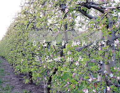 自己做的辣椒油可以賣(mài)嗎違法嗎(自己做辣椒醬賣(mài)需要什么手續(xù))