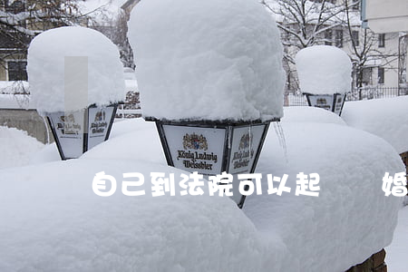 自己到法院可以起訴離婚嗎