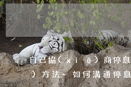 自己協(xié)商停息掛賬技術(shù)方法-如何溝通停息掛賬