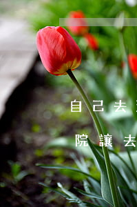 自己去法院要求調(diào)解可以嗎(法院讓去調(diào)解室是不是雙方都到場(chǎng))
