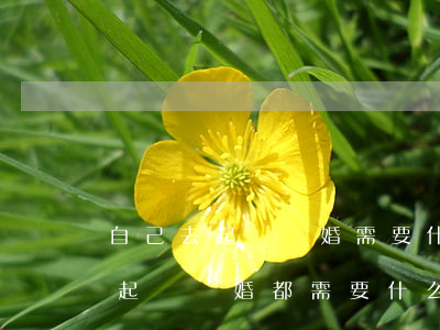 自己去起訴離婚需要什么手續(xù)(如果起訴離婚都需要什么手續(xù))