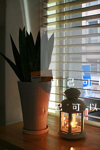 自己可以到法院領(lǐng)取傳票嗎(自己可以到法院領(lǐng)取傳票嗎)