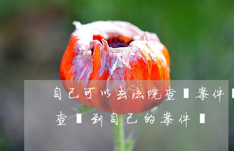 自己可以去法院查詢案件嗎(可以在法院官網查詢到自己的案件嗎)
