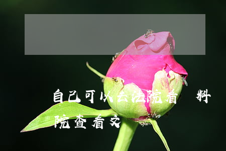 自己可以去法院看資料嗎(不是本人可以去法院查看文書嗎)