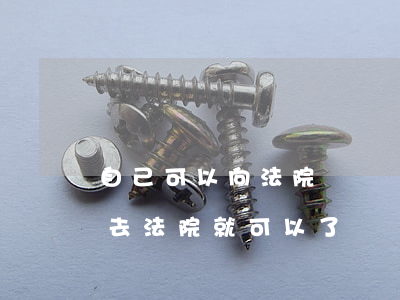 自己可以向法院訴訟嗎(起訴別人是不是直接去法院就可以了)