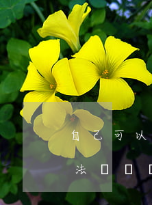 自己可以查違法記錄嗎(自己可以查自己的違法記錄嗎)