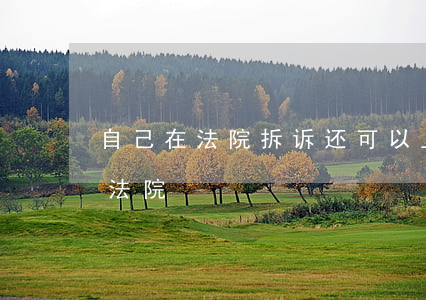 自己在法院拆诉还可以上诉吗(怎么上诉当地法院)