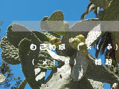 自己如何寫(xiě)離婚起訴(自己如何寫(xiě)離婚起訴書(shū))