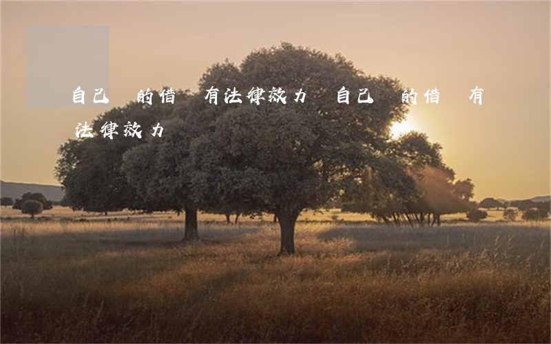 自己寫的借條有法律效力嗎(自己寫的借條有法律效力嗎)
