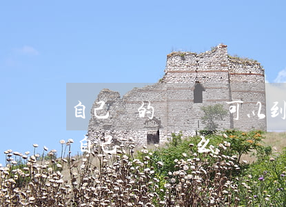 自己寫的訴訟狀可以到法院提交嗎(訴訟可以自己寫訴狀么)