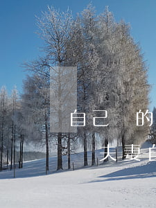 自己寫的離婚協(xié)議書有法律效力嗎(夫妻自己寫的離婚協(xié)議書有法律效力嗎)