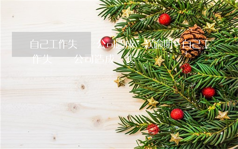 自己工作失誤給公司造成還款逾期-自己工作失誤給公司造成損失
