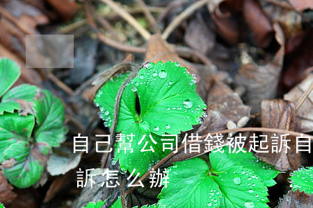 自己幫公司借錢被起訴(自己幫公司借錢被起訴怎么辦)