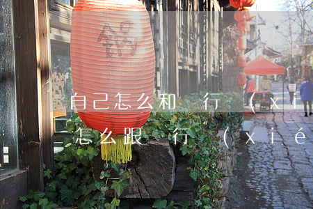 自己怎么和銀行協(xié)商個性化分期(怎么跟銀行協(xié)商個性化分期)