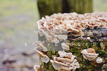 自己怎么寫起訴狀(怎樣寫民事起訴狀)