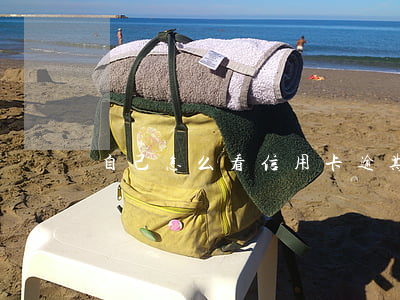 自己怎么看信用卡逾期