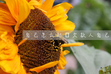 自己怎么起訴欠款人（自己起訴欠錢的）
