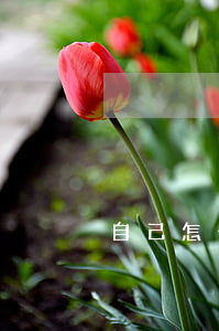 自己怎么起訴欠款人(起訴別人欠我錢怎么寫)