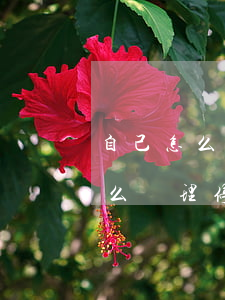 自己怎么辦理停息掛賬的申請流程-自己怎么辦理停息掛賬的申請流程呢