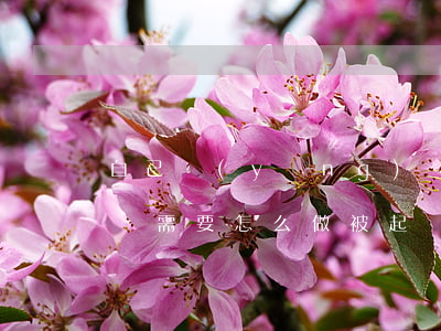 自己應(yīng)訴不請(qǐng)律師需要怎么做(被起訴不請(qǐng)律師可以應(yīng)付嗎)
