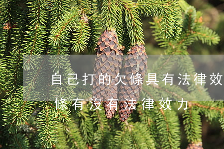 自己打的欠條具有法律效力嗎(打印出來的欠條有沒有法律效力)