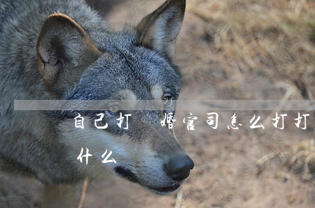 自己打離婚官司怎么打(打離婚官司的流程是什么?) 自己打離婚官司怎么打(打離婚官司的流程是什么?)