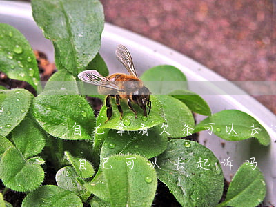 自己拿着欠条可以去法院起诉吗(我拿着欠条自己可以去起诉吗?)