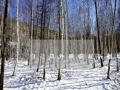 自己搞外遇還起訴離婚怎么辦