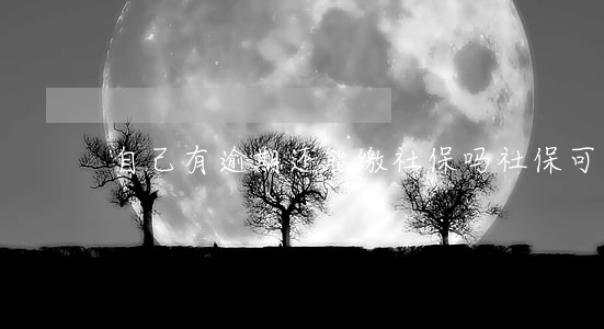 自己有逾期还能缴社保吗(社保可以逾期交吗)