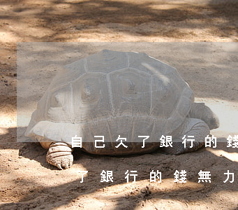 自己欠了銀行的錢無力償還怎么辦-自己欠了銀行的錢無力償還怎么辦呢