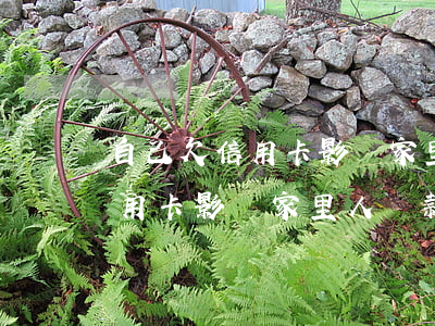 自己欠信用卡影響家里人貸款嗎-自己欠信用卡影響家里人貸款嗎怎么辦