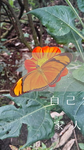 自己欠網(wǎng)貸不還對(duì)家人有什么影響-自己欠網(wǎng)貸不還對(duì)家人有什么影響嗎