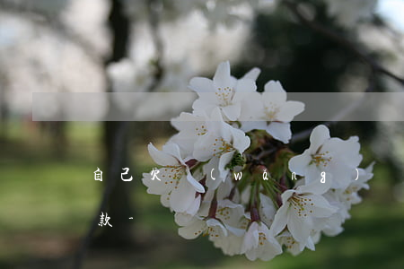 自己欠網(wǎng)貸會不會影響父母貸款-